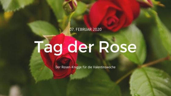 Blog Banner - Tag der Rose.jpg